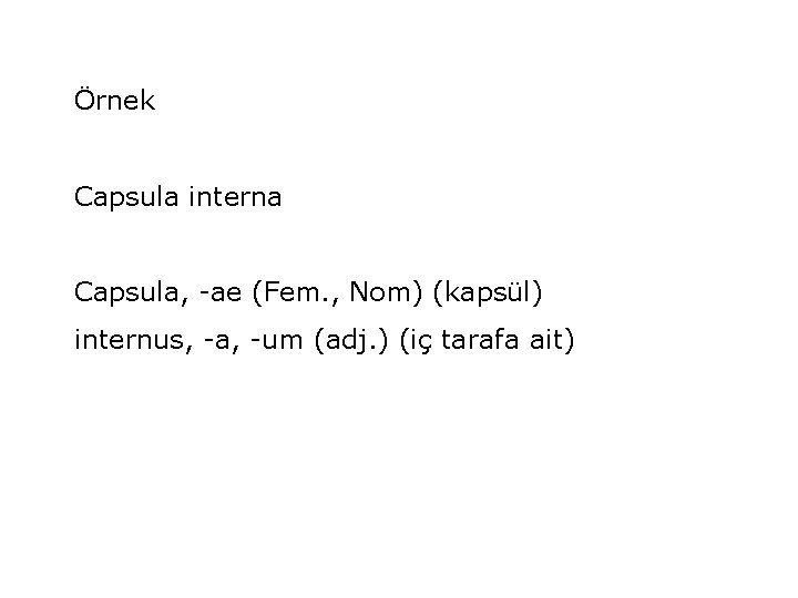 Örnek Capsula interna Capsula, -ae (Fem. , Nom) (kapsül) internus, -a, -um (adj. )