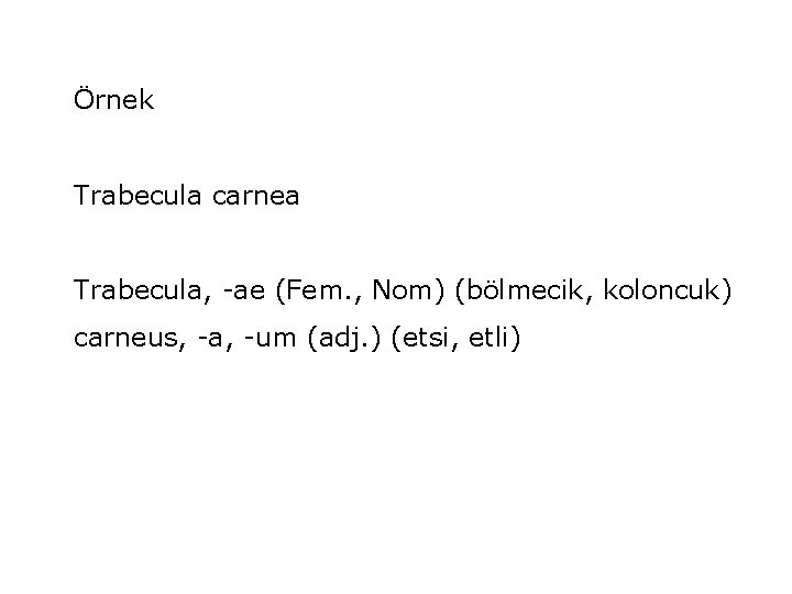 Örnek Trabecula carnea Trabecula, -ae (Fem. , Nom) (bölmecik, koloncuk) carneus, -a, -um (adj.