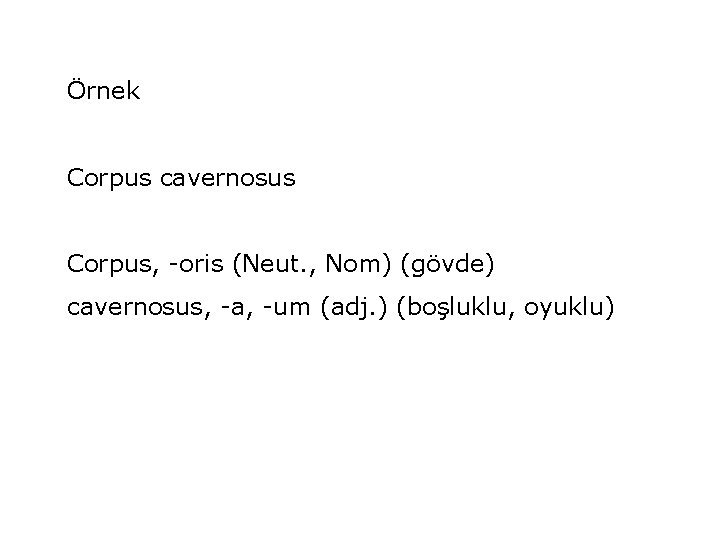 Örnek Corpus cavernosus Corpus, -oris (Neut. , Nom) (gövde) cavernosus, -a, -um (adj. )