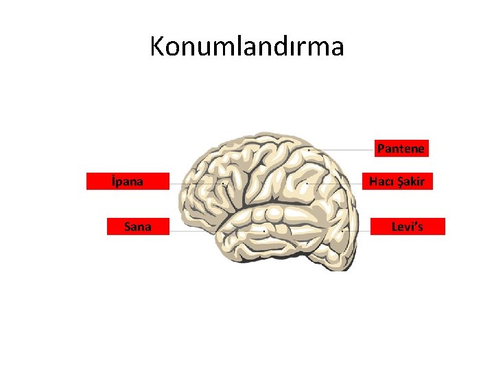 Konumlandırma Pantene İpana Sana Hacı Şakir Levi’s 