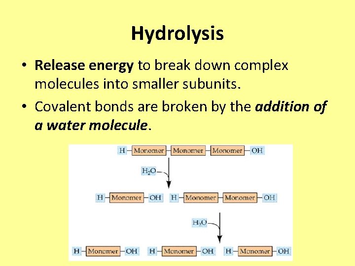 Hydrolysis • Release energy to break down complex molecules into smaller subunits. • Covalent