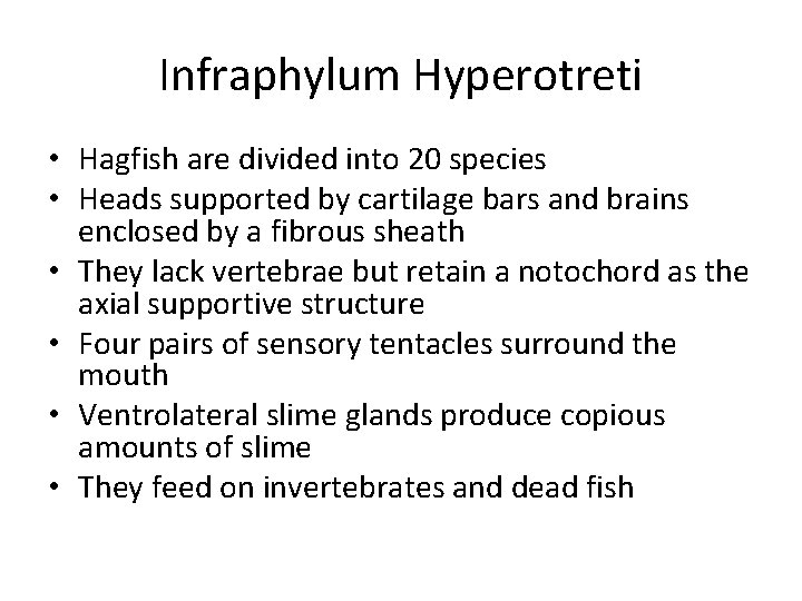Infraphylum Hyperotreti • Hagfish are divided into 20 species • Heads supported by cartilage