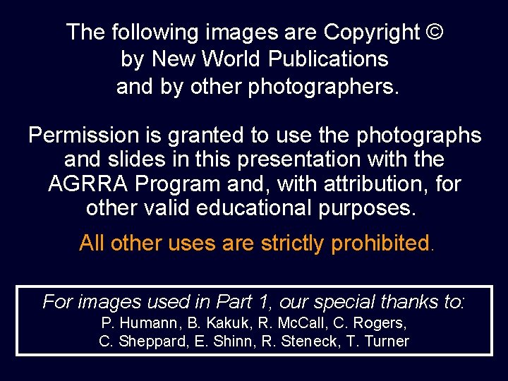 The following images are Copyright © by New World Publications and by other photographers.