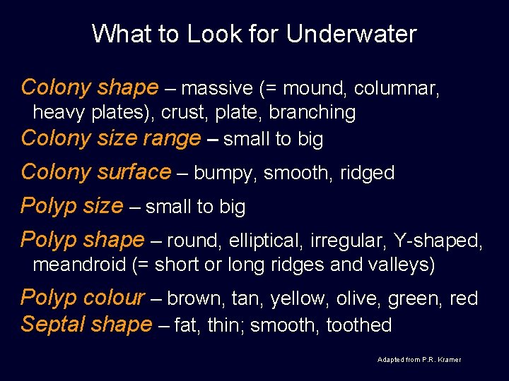 What to Look for Underwater Colony shape – massive (= mound, columnar, heavy plates),