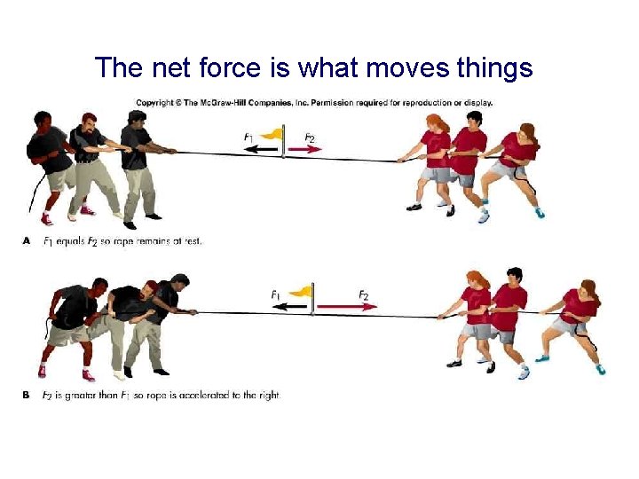 The net force is what moves things 