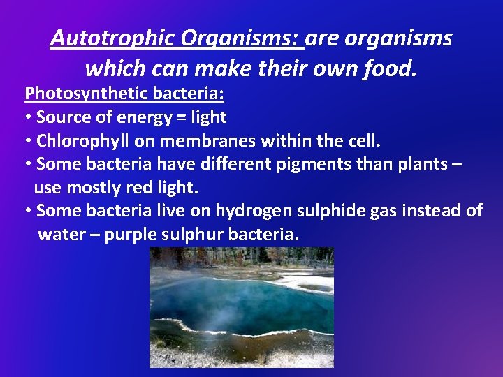 Autotrophic Organisms: are organisms which can make their own food. Photosynthetic bacteria: • Source