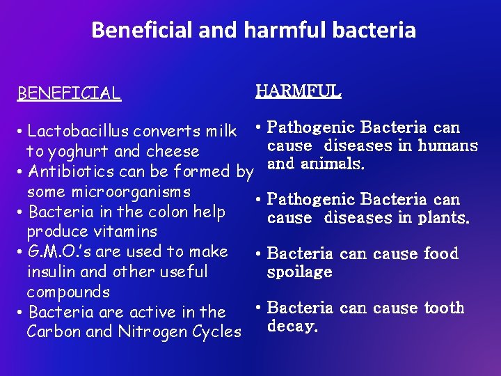 Beneficial and harmful bacteria BENEFICIAL HARMFUL • Lactobacillus converts milk • to yoghurt and