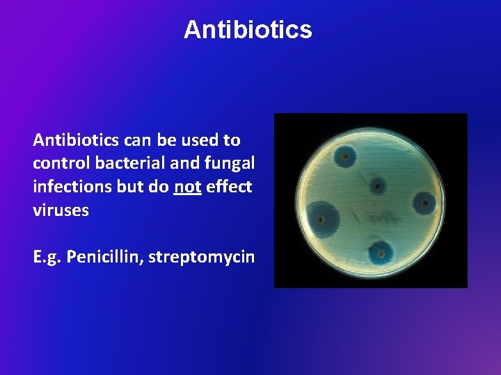 Antibiotics can be used to control bacterial and fungal infections but do not effect