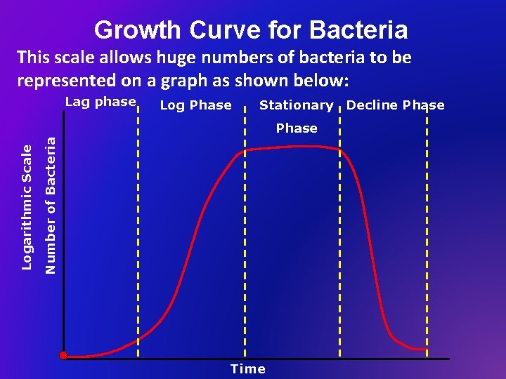 Growth Curve for Bacteria This scale allows huge numbers of bacteria to be represented