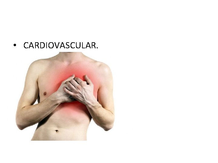  • CARDIOVASCULAR. 