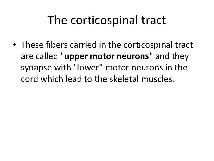The corticospinal tract • These fibers carried in the corticospinal tract are called "upper