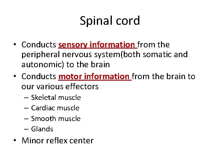 Spinal cord • Conducts sensory information from the peripheral nervous system(both somatic and autonomic)