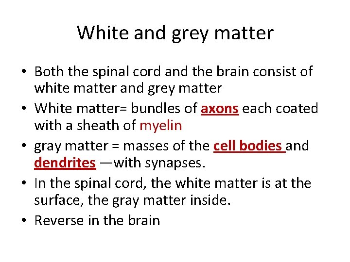 White and grey matter • Both the spinal cord and the brain consist of