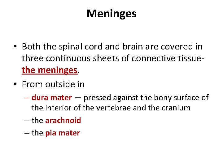 Meninges • Both the spinal cord and brain are covered in three continuous sheets
