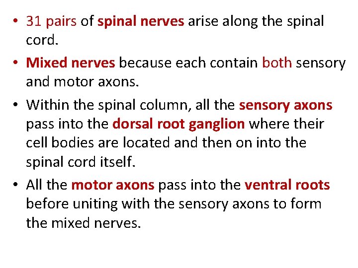  • 31 pairs of spinal nerves arise along the spinal cord. • Mixed