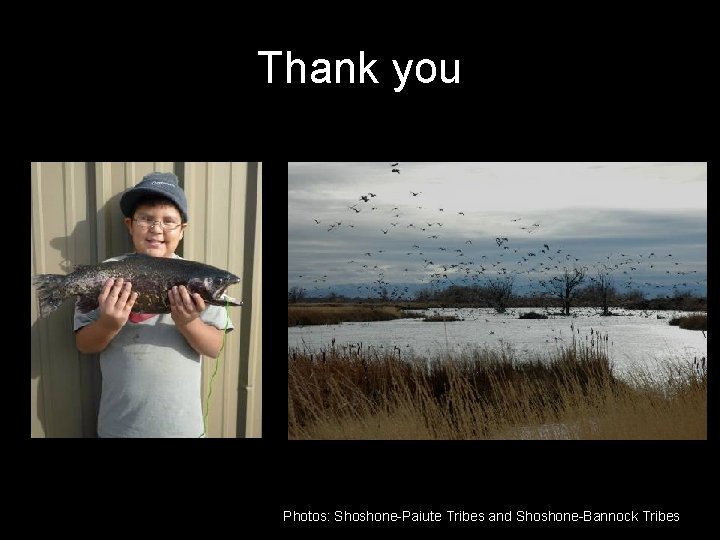Thank you Photos: Shoshone-Paiute Tribes and Shoshone-Bannock Tribes 