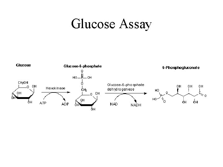 Glucose Assay 