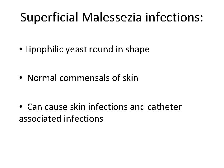 Superficial Malessezia infections: • Lipophilic yeast round in shape • Normal commensals of skin