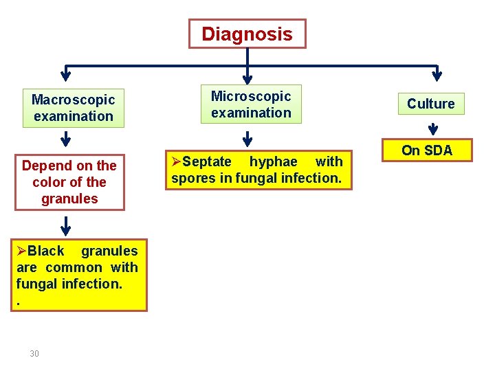 Diagnosis Macroscopic examination Depend on the color of the granules ØBlack granules are common