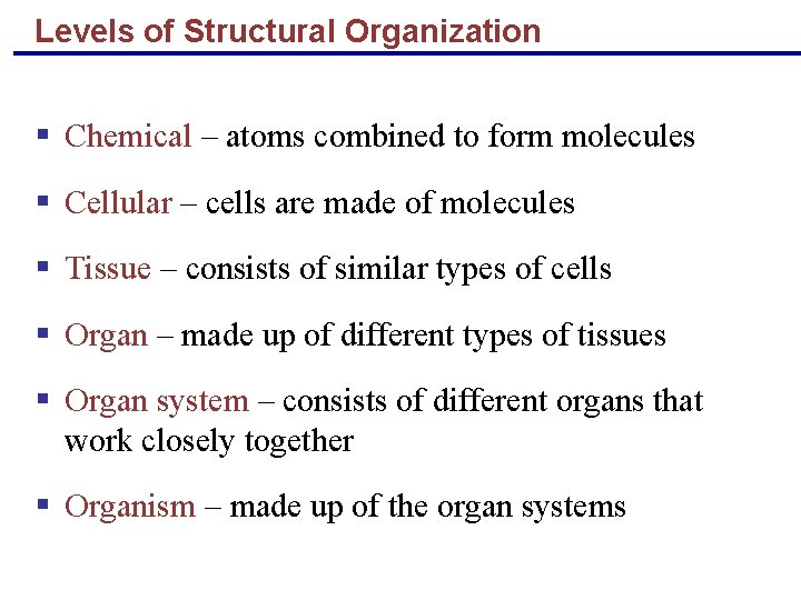 Levels of Structural Organization § Chemical – atoms combined to form molecules § Cellular