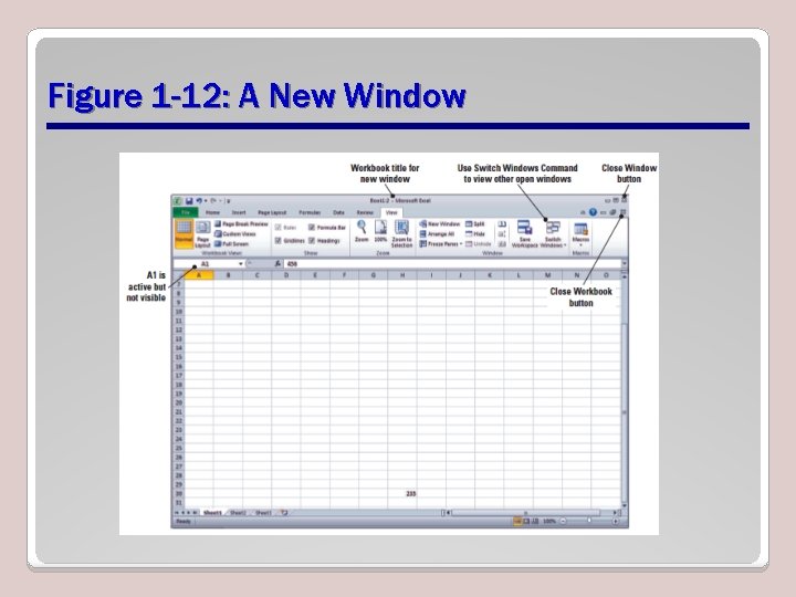 Figure 1 -12: A New Window 