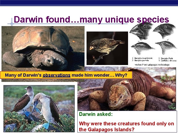 Darwin Evolution by Natural Selection ch he fin
