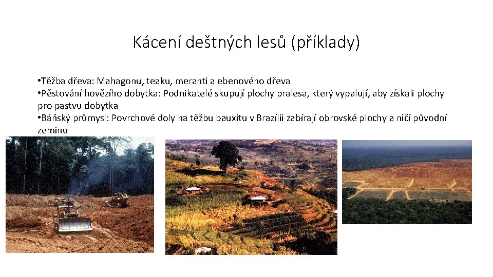 Kácení deštných lesů (příklady) • Těžba dřeva: Mahagonu, teaku, meranti a ebenového dřeva •