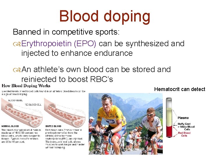 Blood doping Banned in competitive sports: Erythropoietin (EPO) can be synthesized and injected to