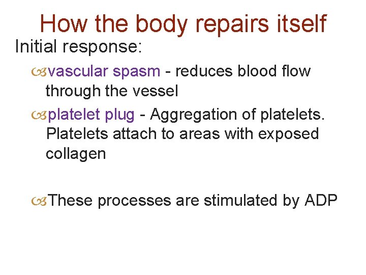 How the body repairs itself Initial response: vascular spasm - reduces blood flow through