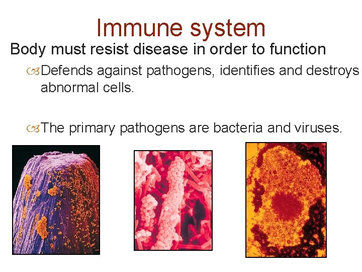 Immune system Body must resist disease in order to function Defends against pathogens, identifies