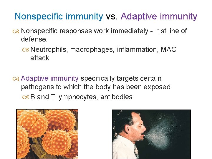 Nonspecific immunity vs. Adaptive immunity Nonspecific responses work immediately - 1 st line of