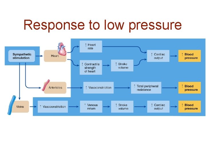 Response to low pressure 