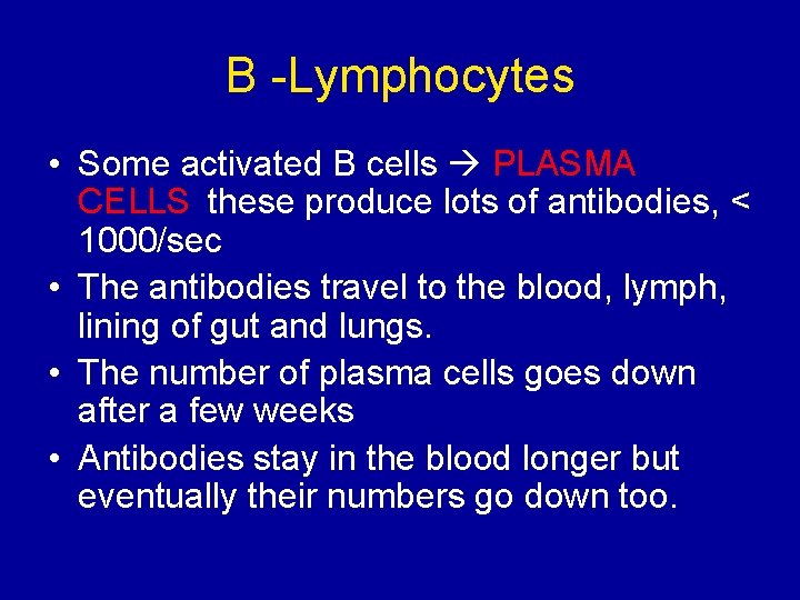 B -Lymphocytes • Some activated B cells PLASMA CELLS these produce lots of antibodies,