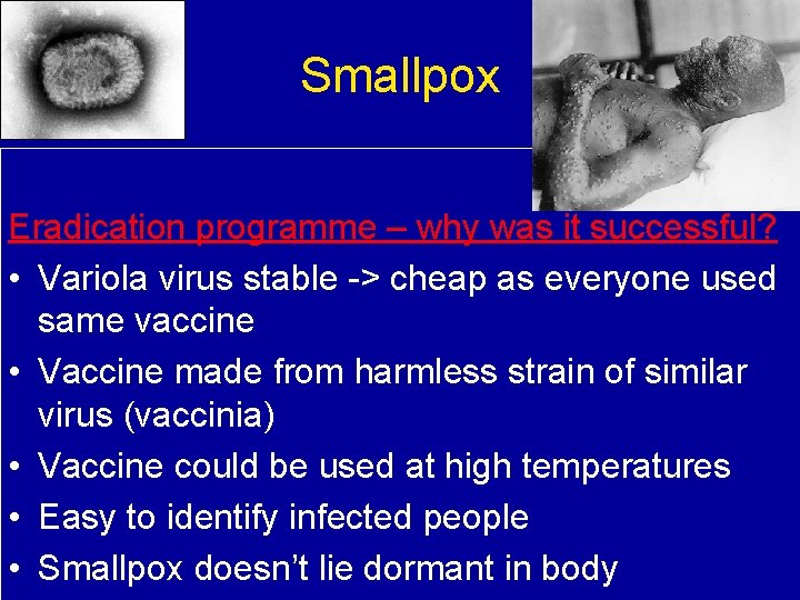 Smallpox Eradication programme – why was it successful? • Variola virus stable -> cheap