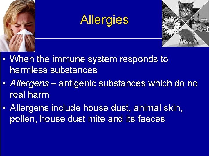 Allergies • When the immune system responds to harmless substances • Allergens – antigenic