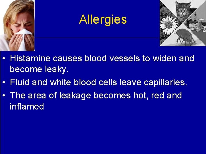 Allergies • Histamine causes blood vessels to widen and become leaky. • Fluid and