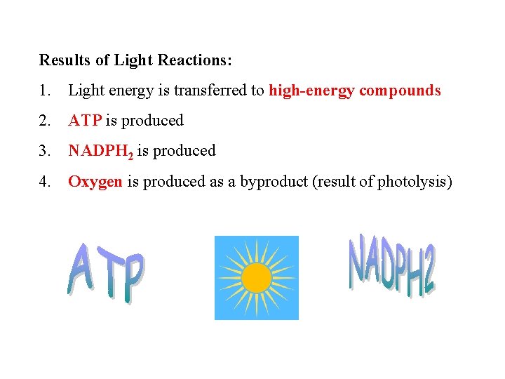 Class Objectives You Will Understand the process of