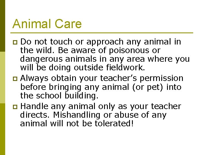 Animal Care Do not touch or approach any animal in the wild. Be aware