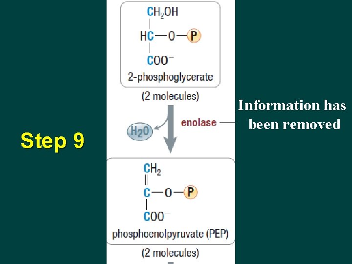 Step 9 Information has been removed 