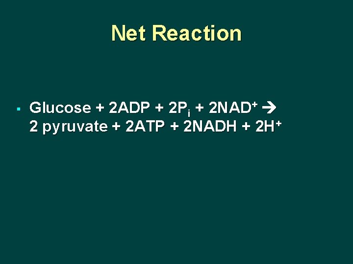 Net Reaction § Glucose + 2 ADP + 2 Pi + 2 NAD+ 2