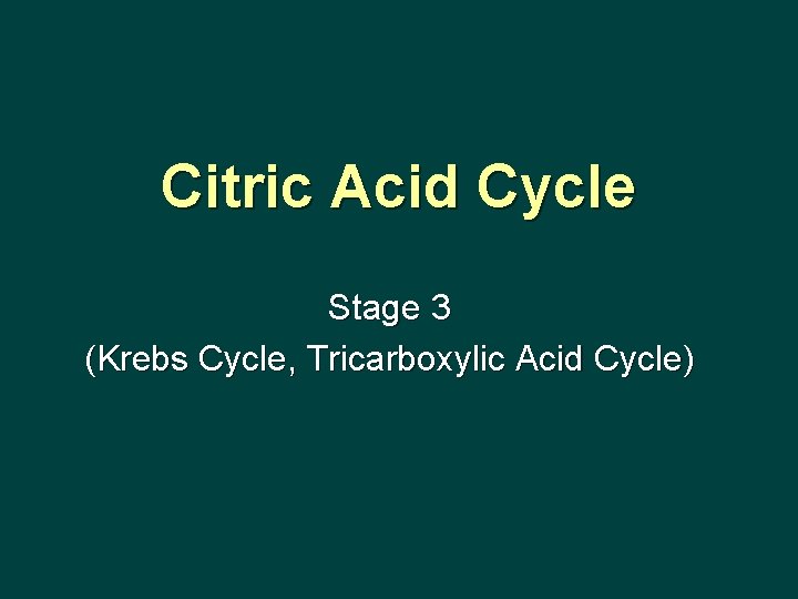 Citric Acid Cycle Stage 3 (Krebs Cycle, Tricarboxylic Acid Cycle) 