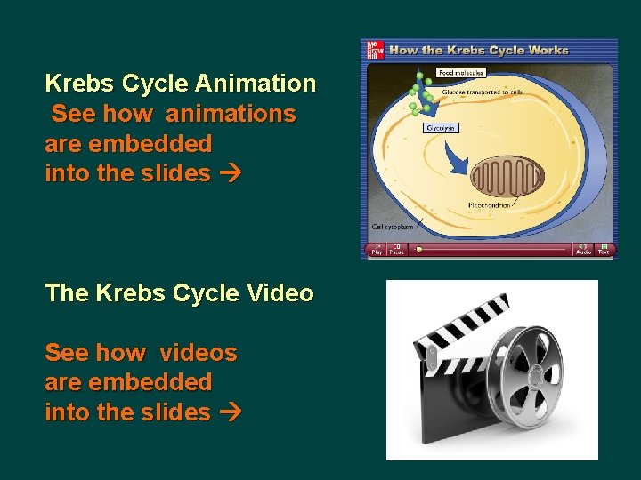 Krebs Cycle Animation See how animations are embedded into the slides The Krebs Cycle