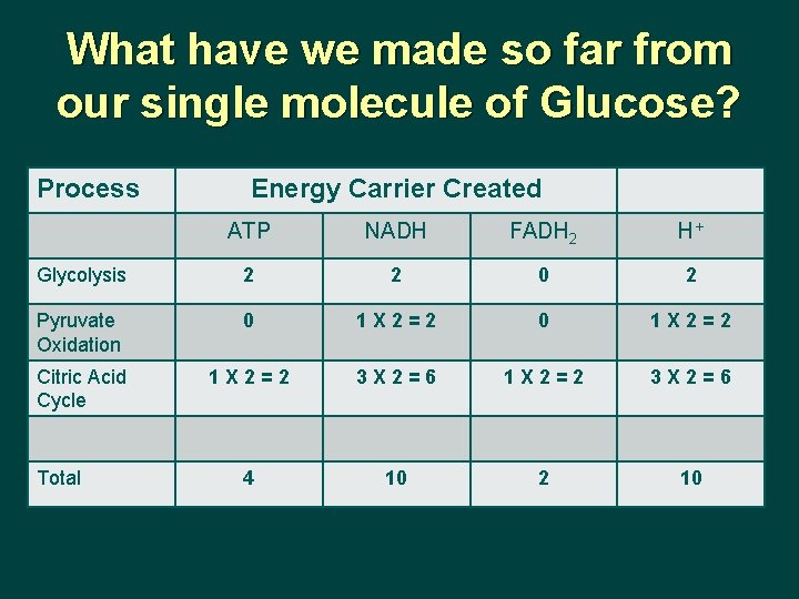 What have we made so far from our single molecule of Glucose? Process Energy