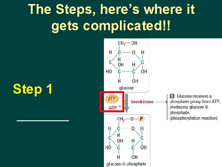 The Steps, here’s where it gets complicated!! Step 1 _______ 