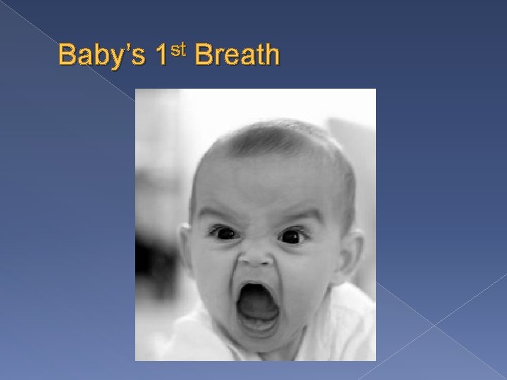 Baby’s 1 st Breath 