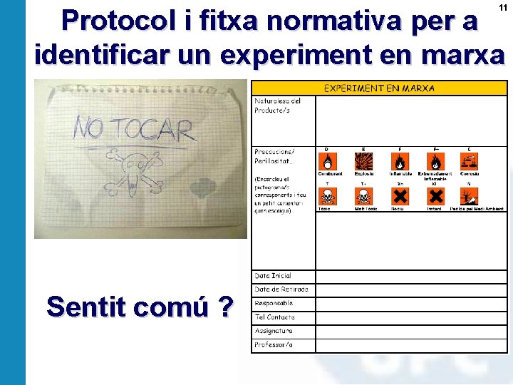 11 Protocol i fitxa normativa per a identificar un experiment en marxa Sentit comú