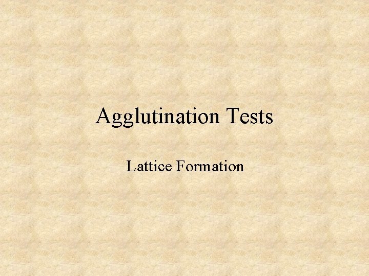 Agglutination Tests Lattice Formation 