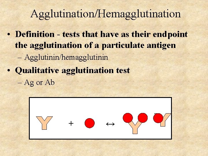 Agglutination/Hemagglutination • Definition - tests that have as their endpoint the agglutination of a