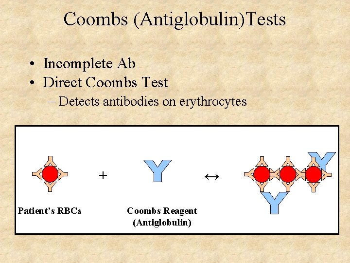 Coombs (Antiglobulin)Tests • Incomplete Ab • Direct Coombs Test – Detects antibodies on erythrocytes