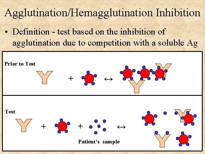 Agglutination/Hemagglutination Inhibition • Definition - test based on the inhibition of agglutination due to